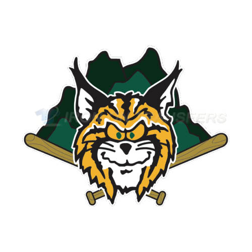Lynchburg Hillcats Iron-on Stickers (Heat Transfers)NO.7792
